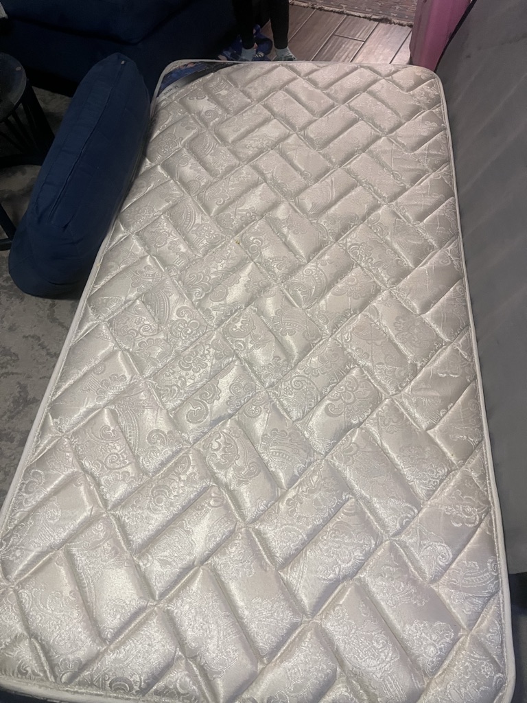 Free Two twin mattresses