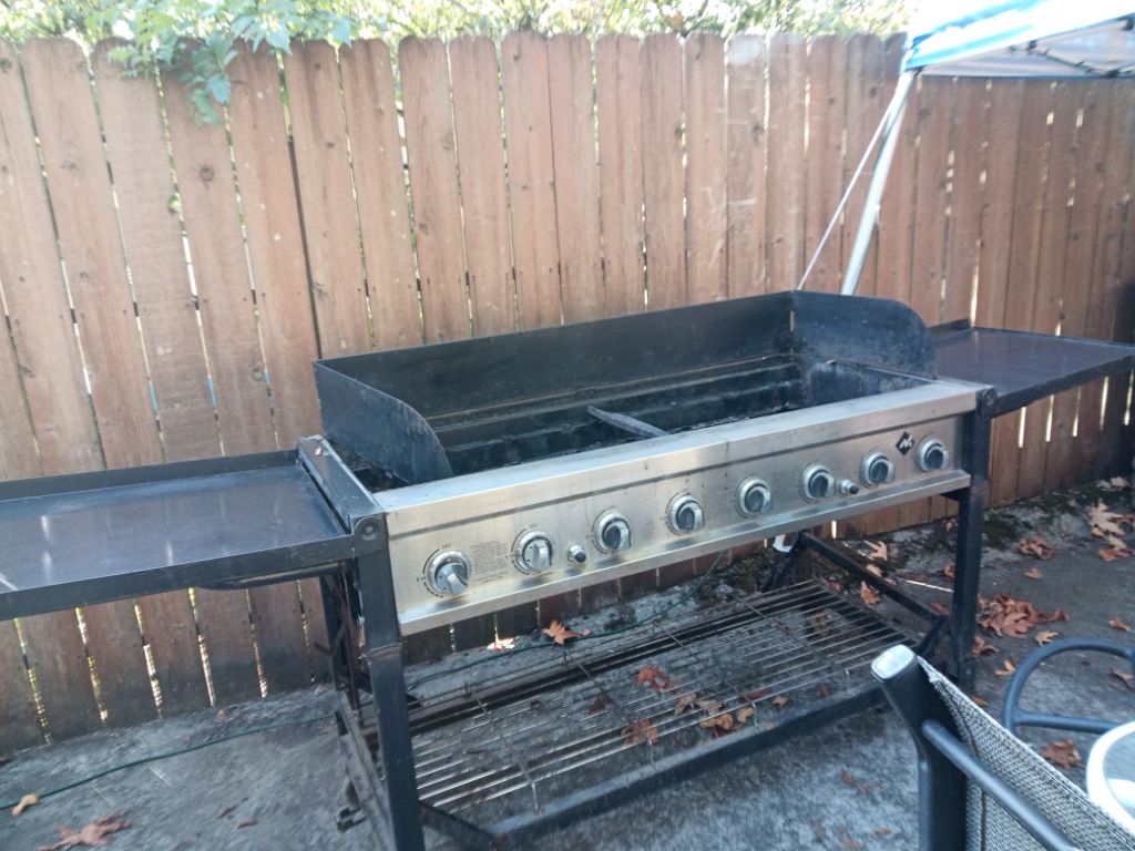 Free BBQ LARGE