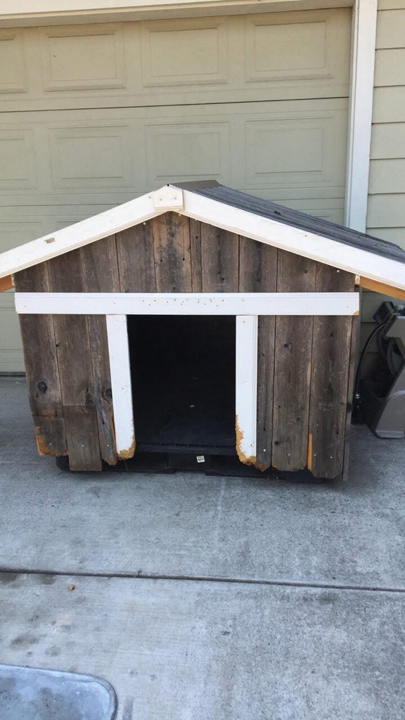 Free xxxl Dog House