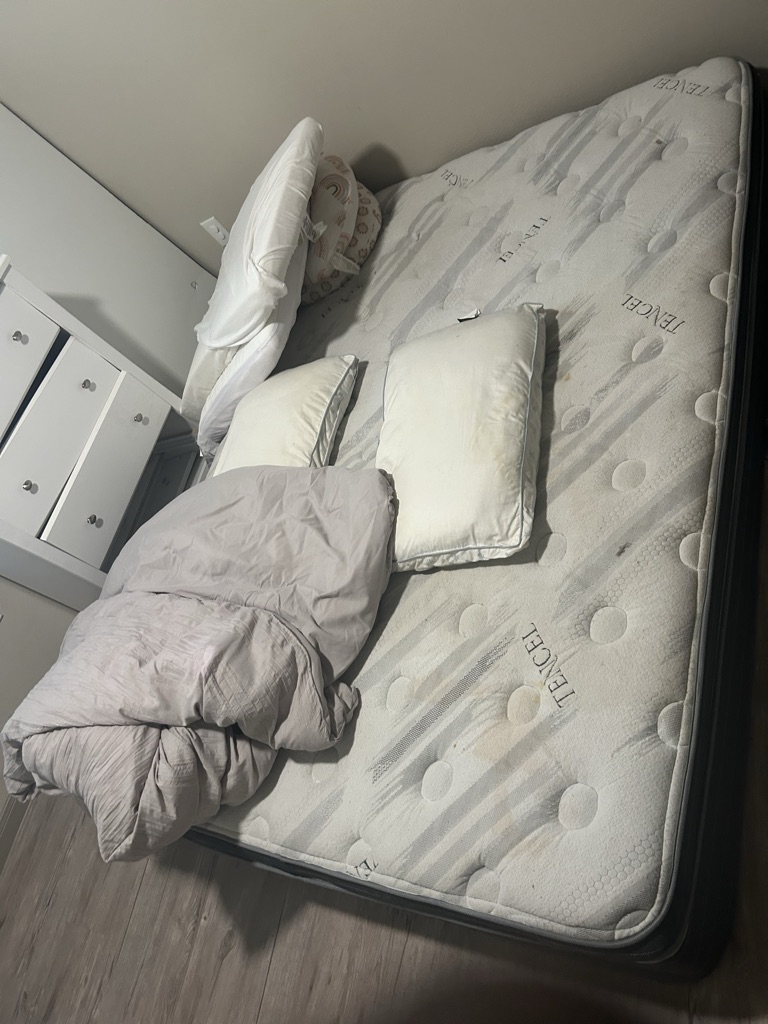 Free King bed
