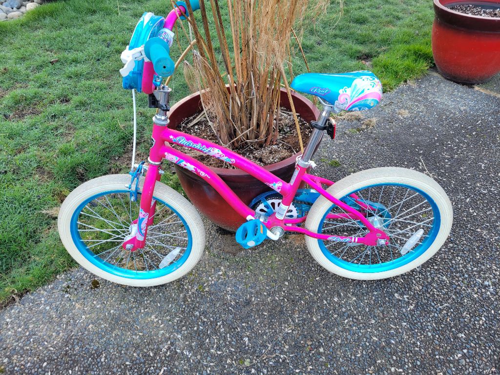 Free Childrens bicycles