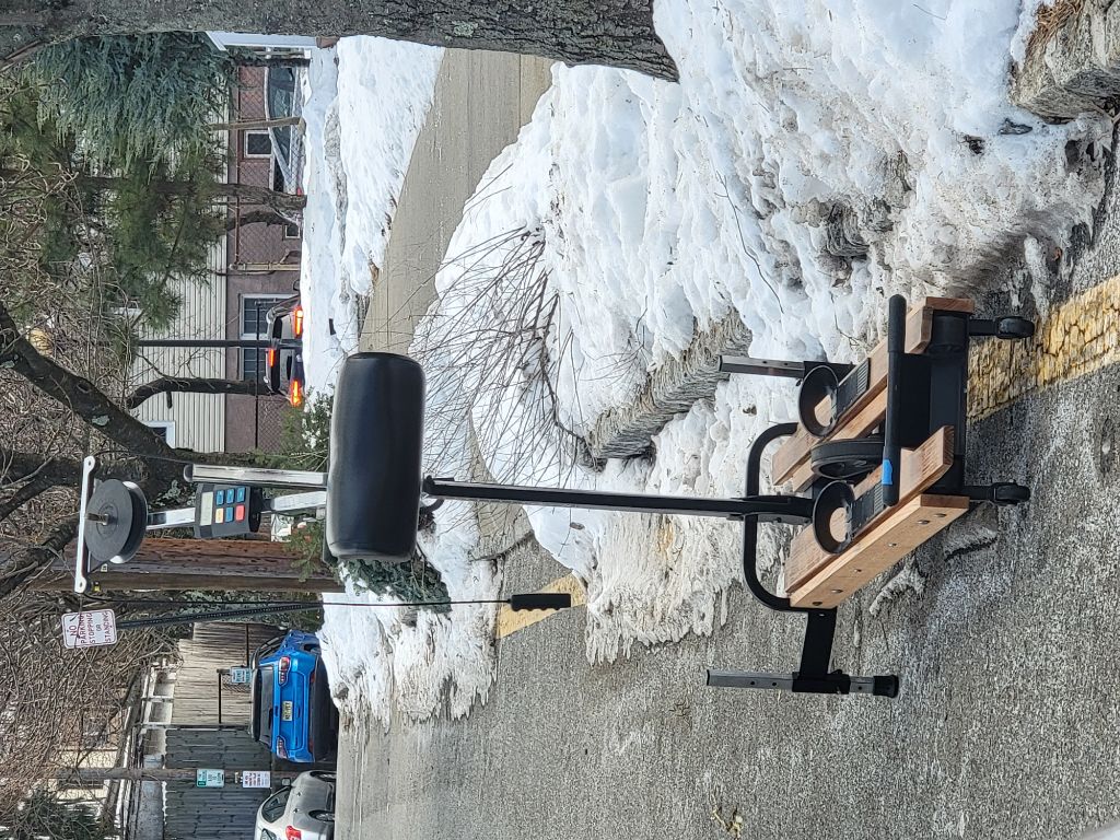 Free Nordic track classic skier