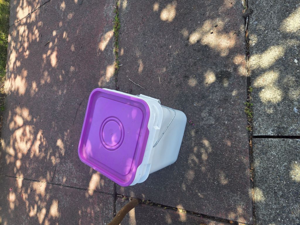 Free Blue buffalo kibble in a bucket!