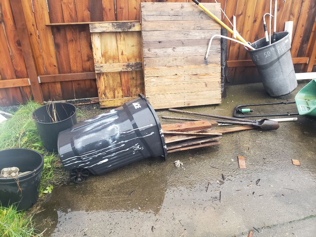 Free wood , firewood