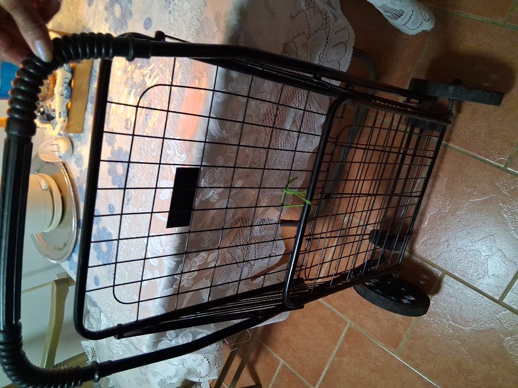 Free Black Large shopping cart