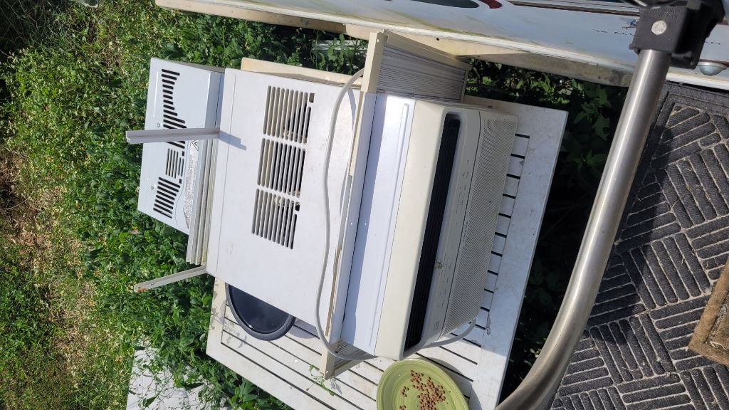 Free Scrap free need gone by Sunday