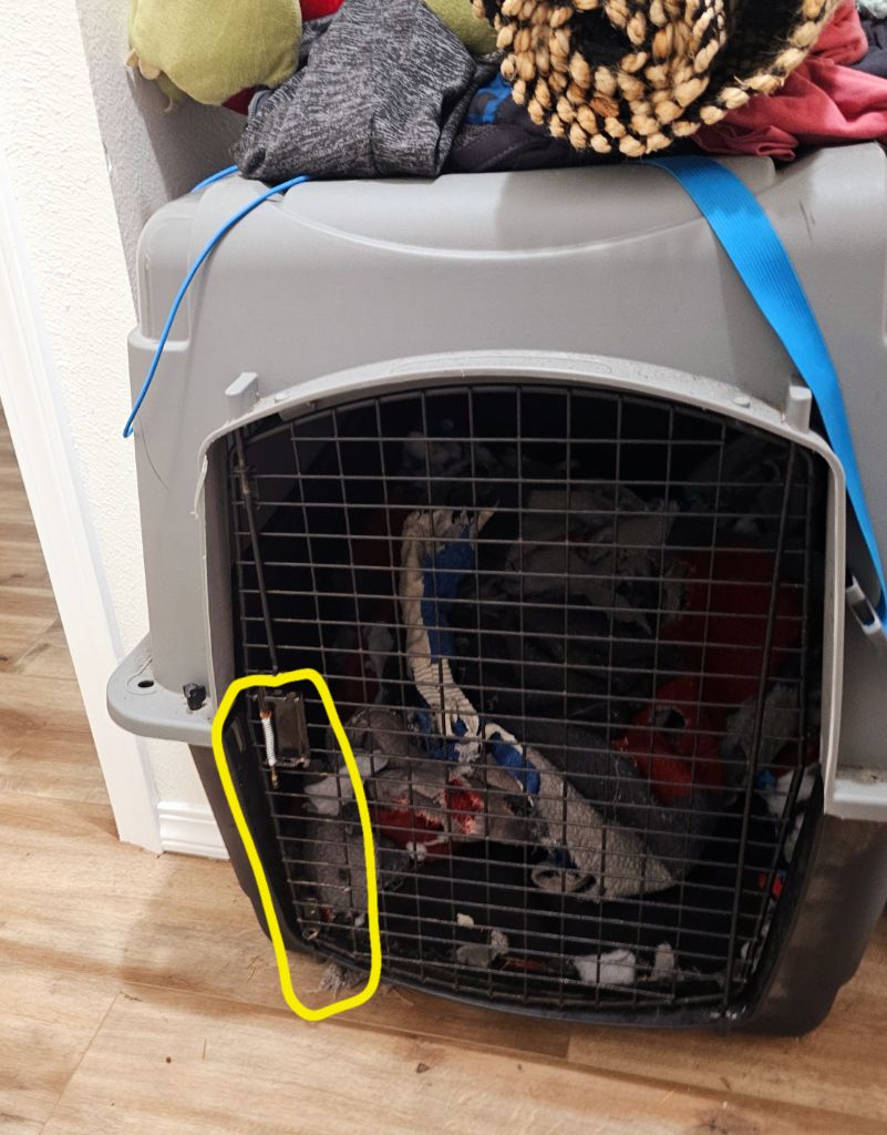 Free Large dog kennel