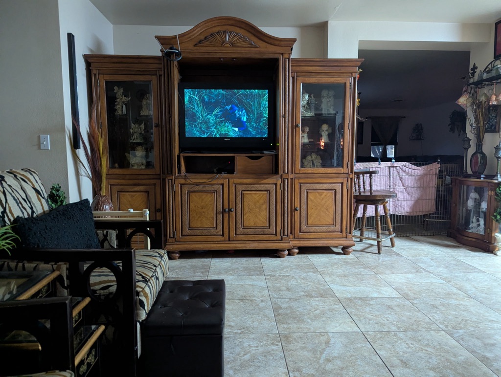 Free Entertainment center