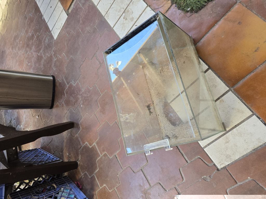 Free tank and 4 poster king bed frame only