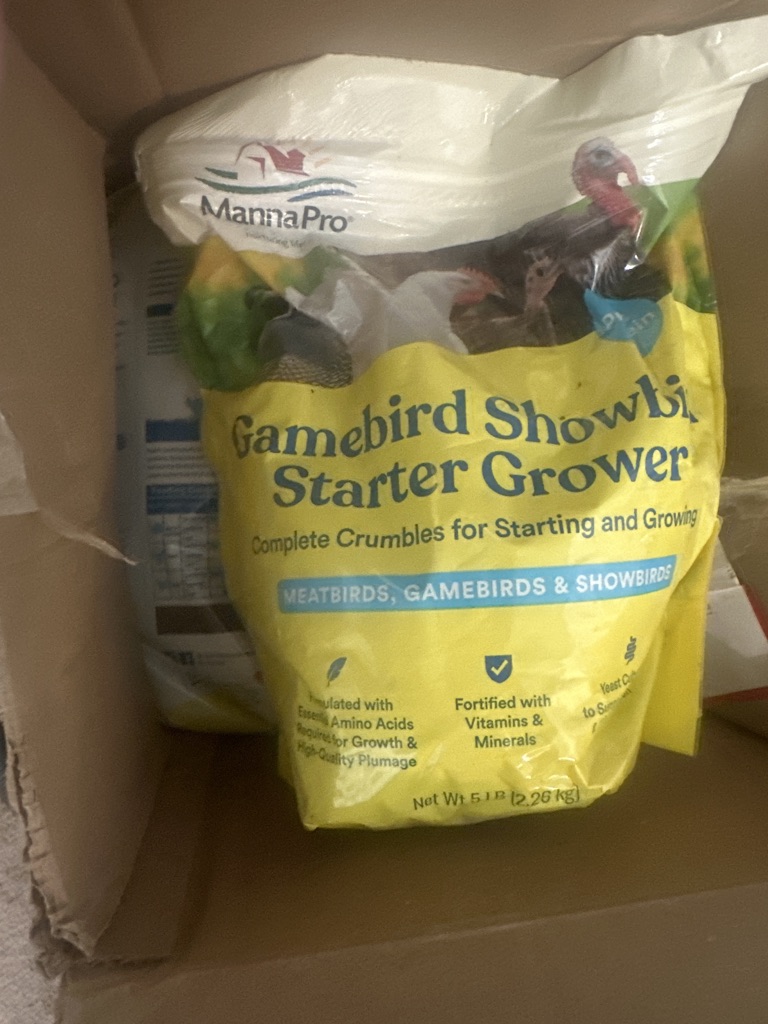 Free Quail/Gamebird Food