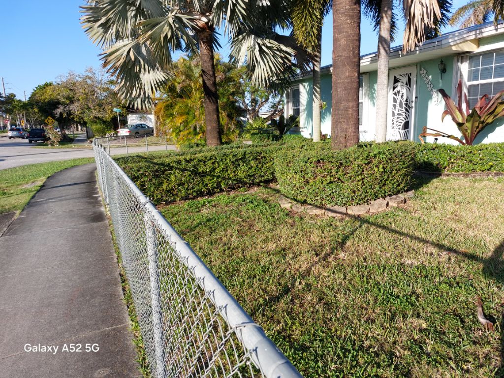 Free Lost and found.