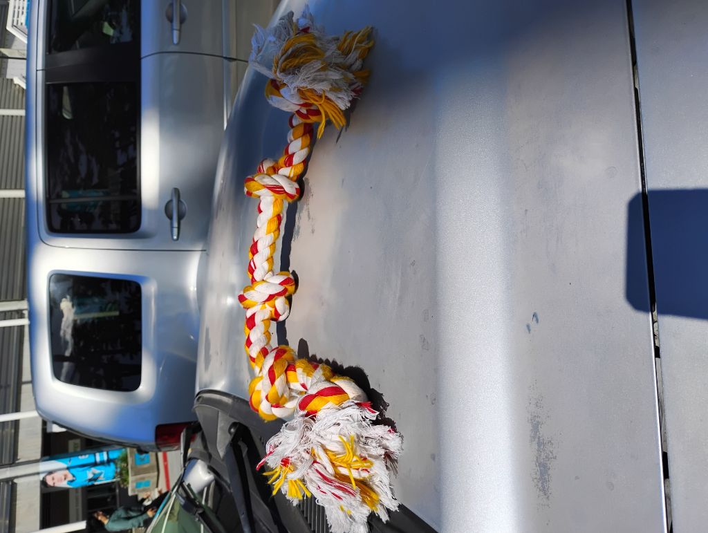 Free Dogs rope toy