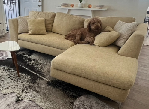 Free couch