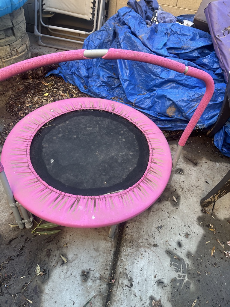 Free My entire yard ready for pickup FREE