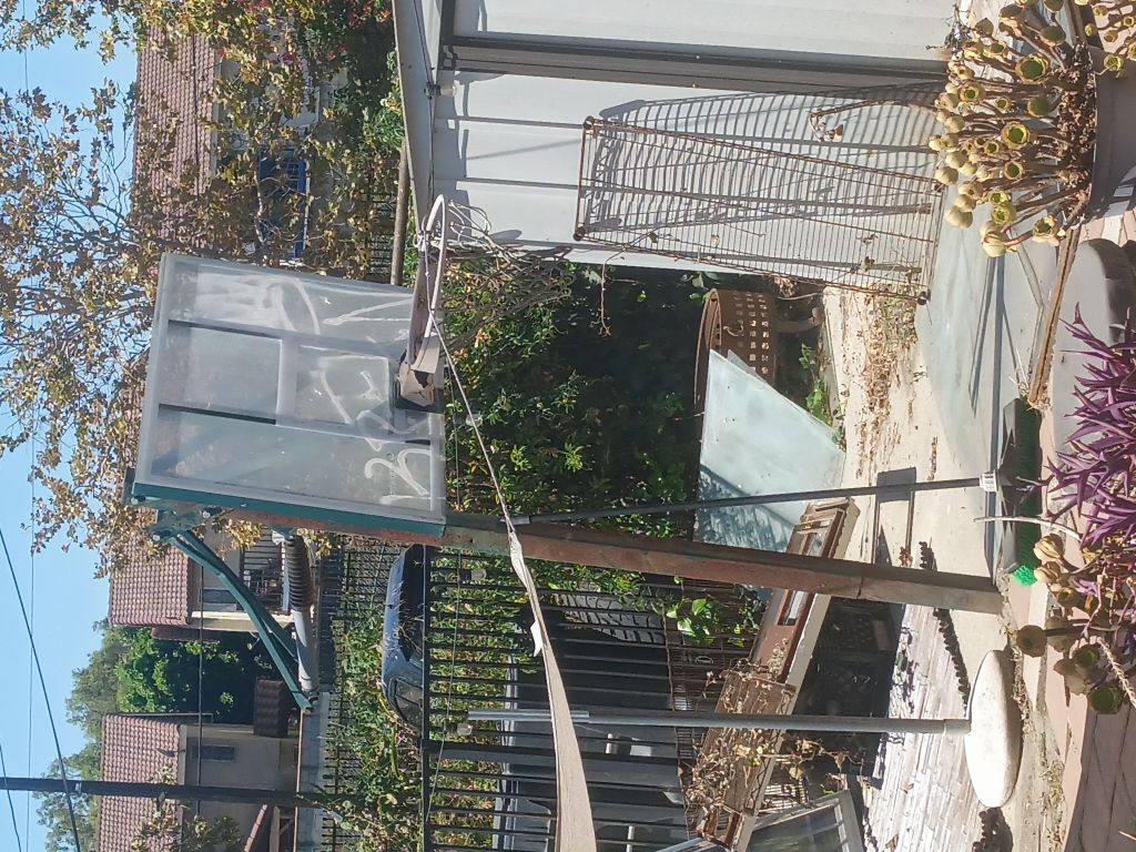 Free Basketball hoop