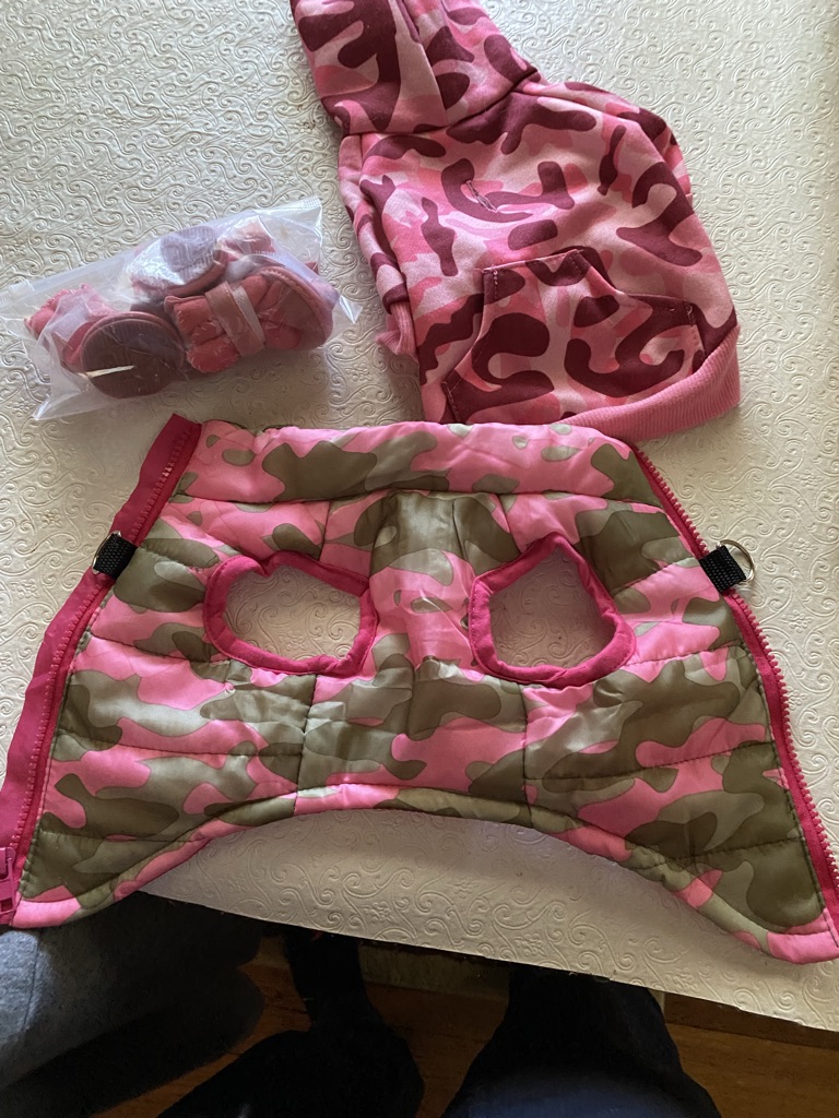 Free XS puppy/dog cloths