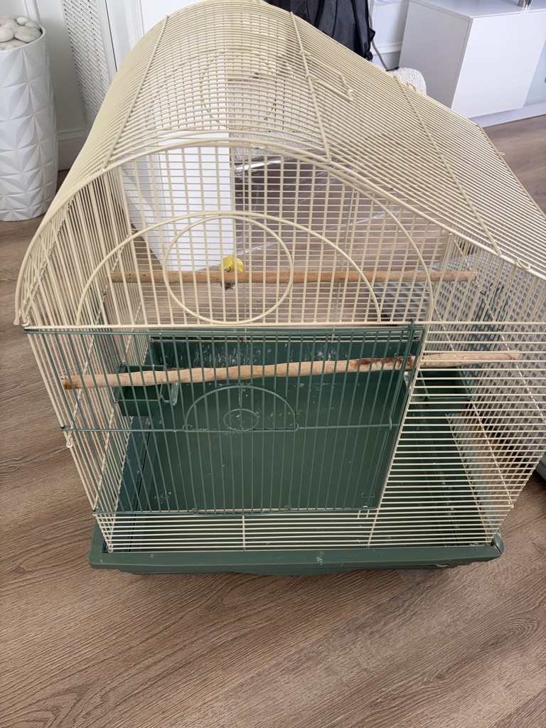 Free Bird cage