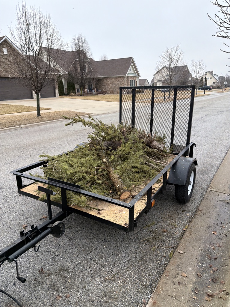 Free tree wood/branches ILL DELIVER
