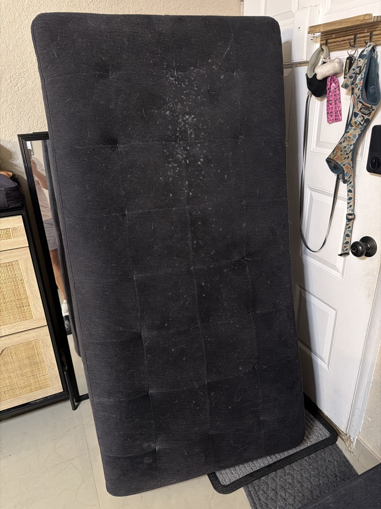 Free Ottoman