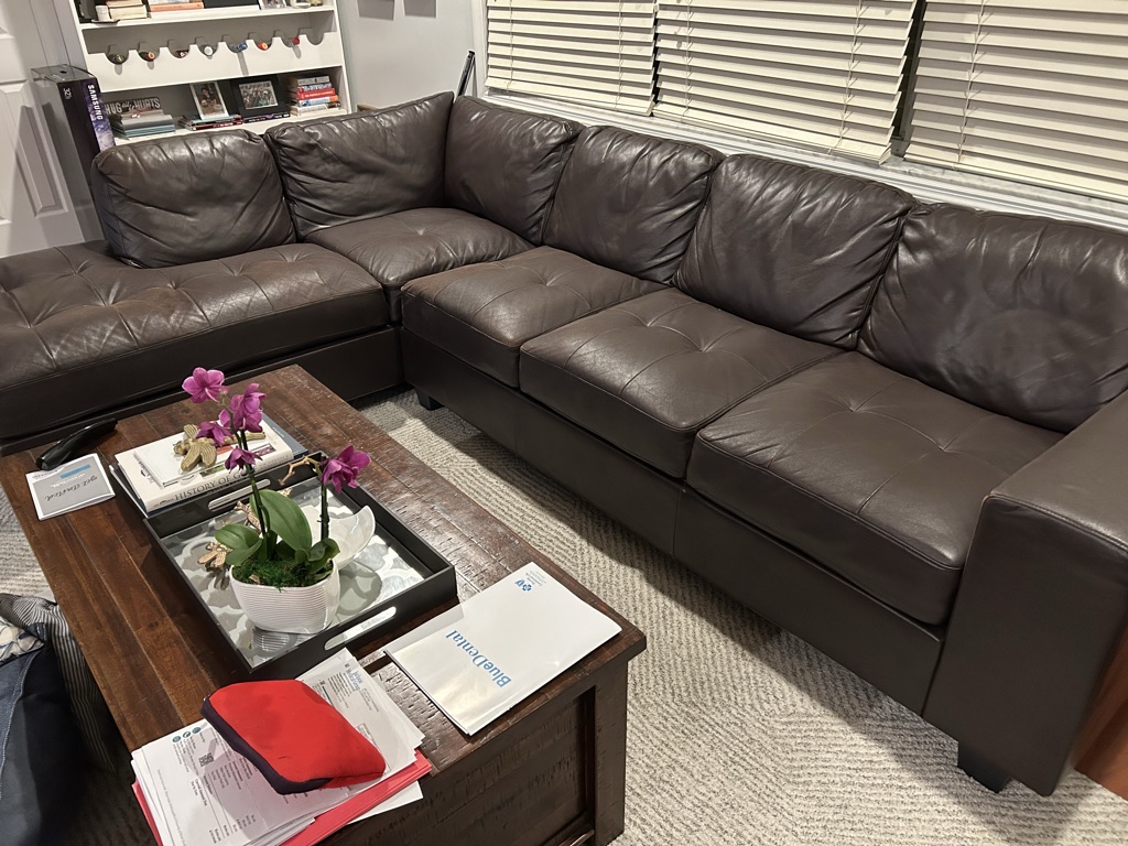 Free Leather couch