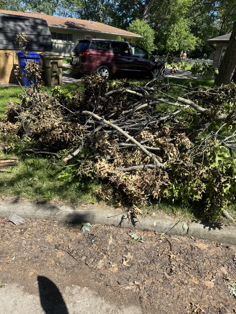 Free Fire wood