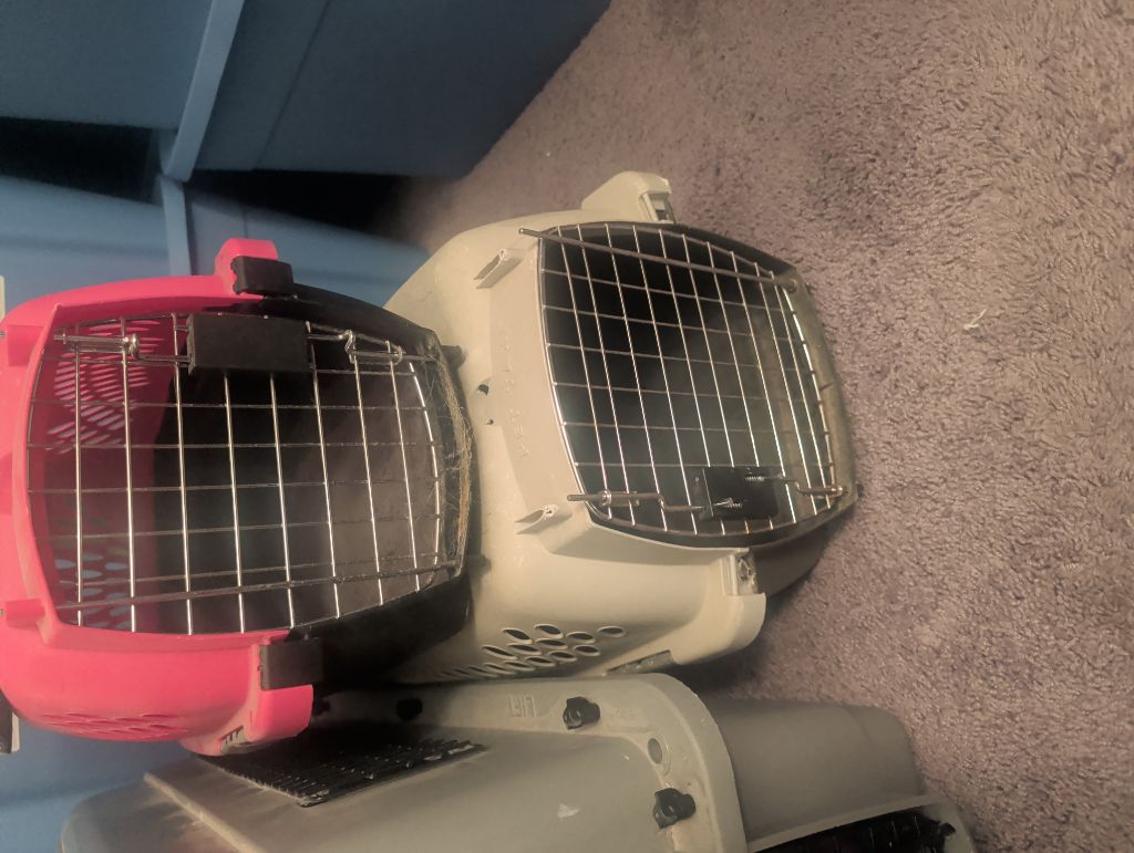 Free Various pet supplies