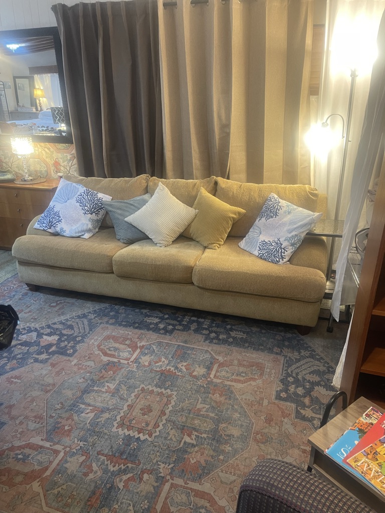 Free Very clean sleeper sofa