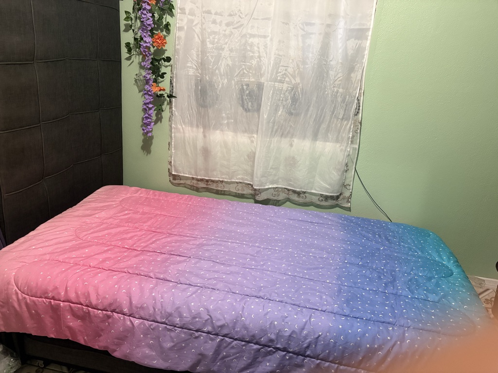 Free Twin mattress