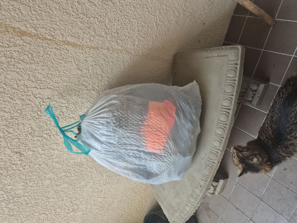 Free clothes