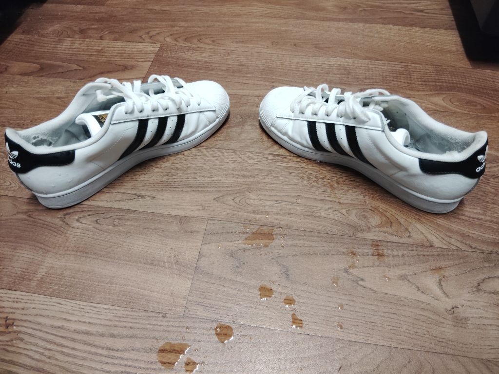 Free, free,57 n.alma school Rd, Mesa, behind trash can.size 11