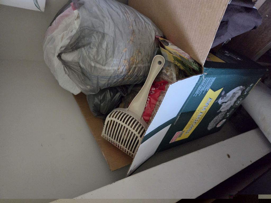Free Guinea pig bedding and food