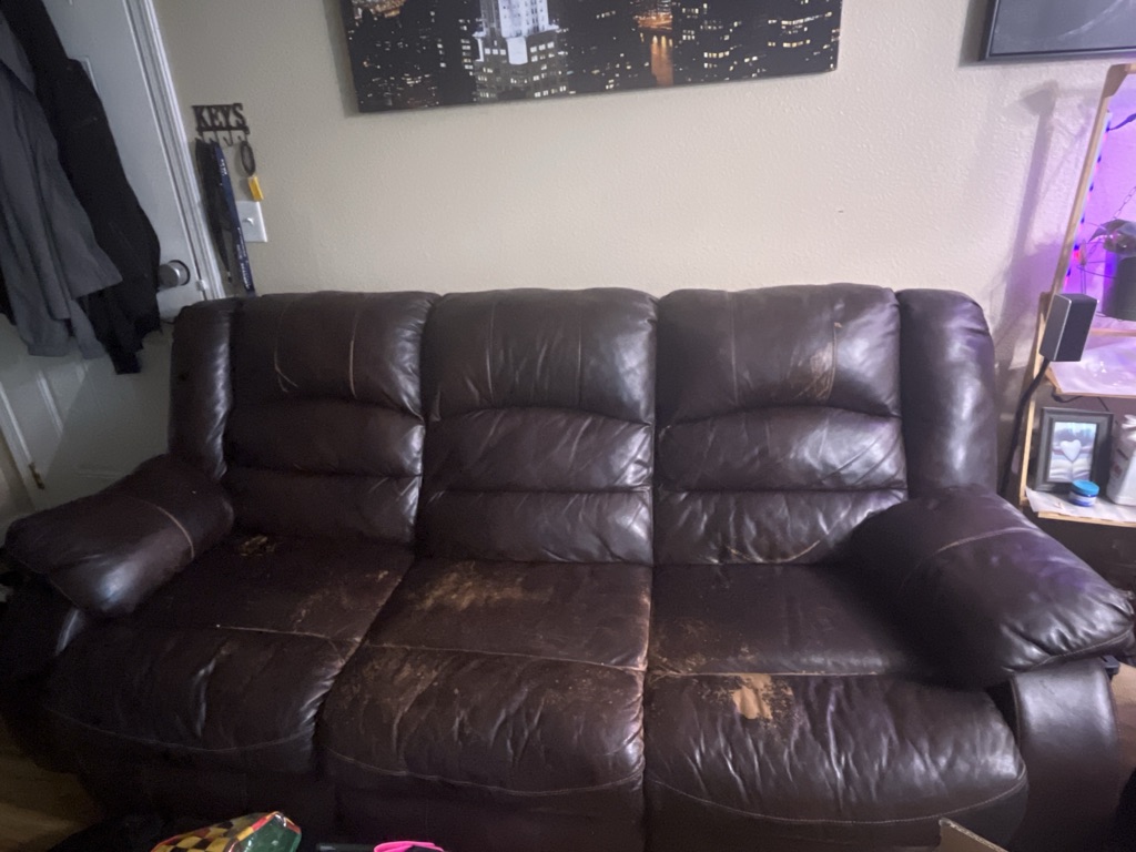 Free Reclining Couch