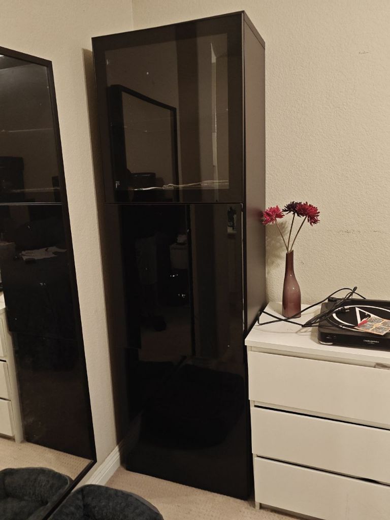 FREE Book shelf with glass door