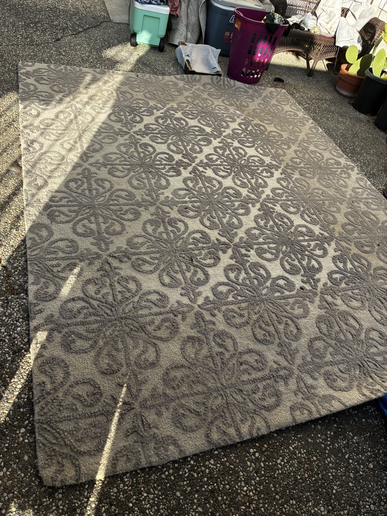 Free 8 x 10 Rug
