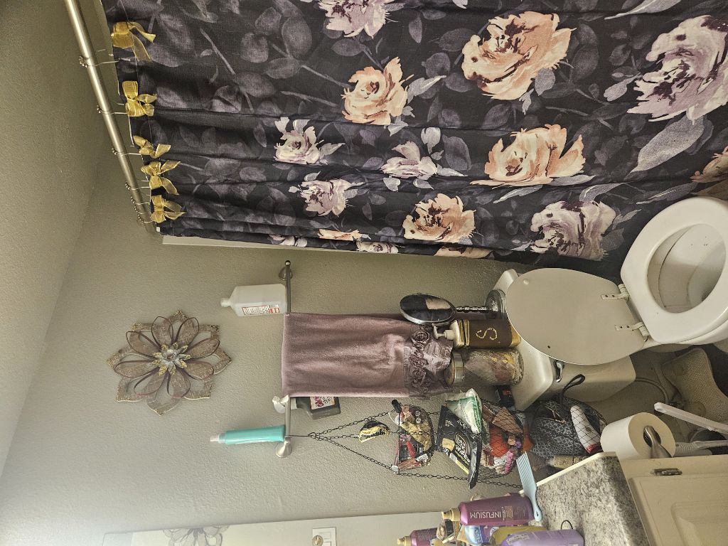 Free Moving everything goes