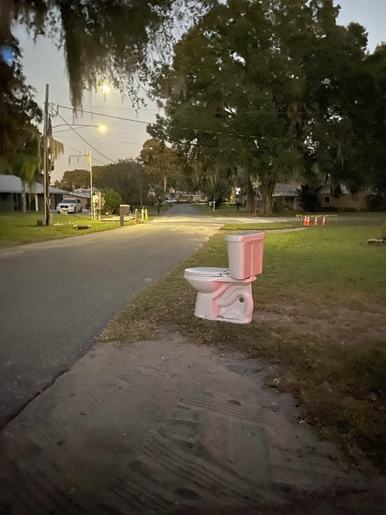 Free Toilet