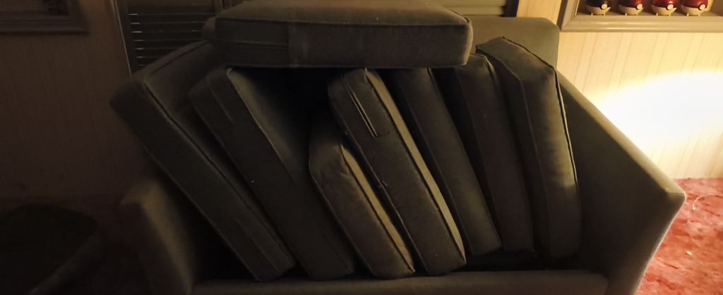 Free Sofa beds