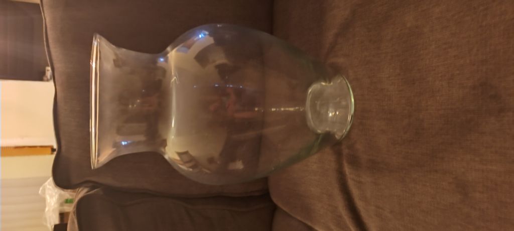 Free Large Glass Vase