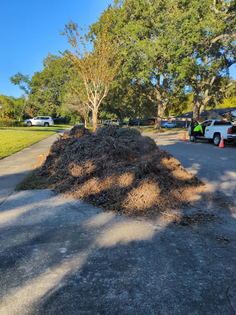 Free Mulch