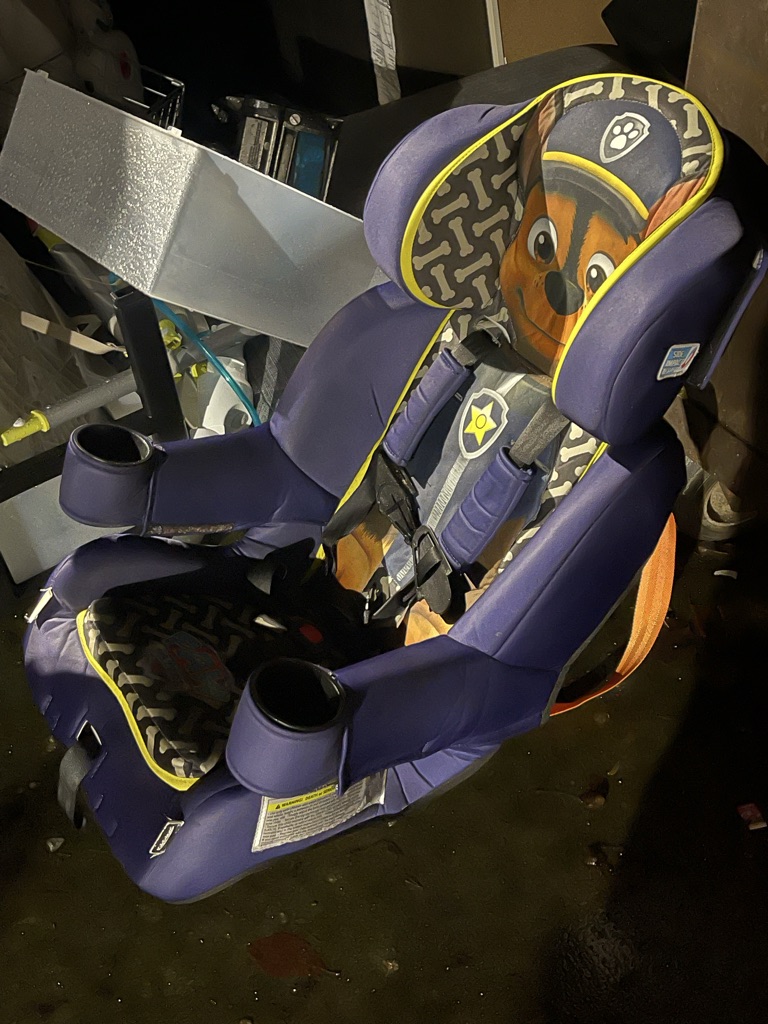 Free Paw Patrol car seat