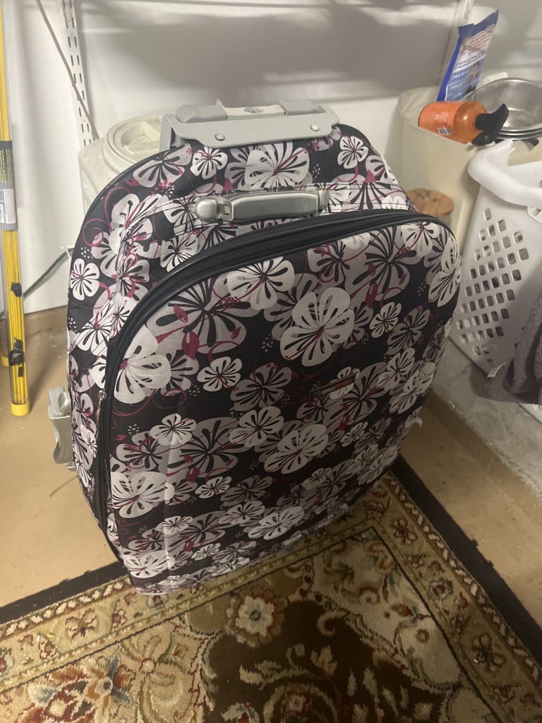 Free Suit case extra large