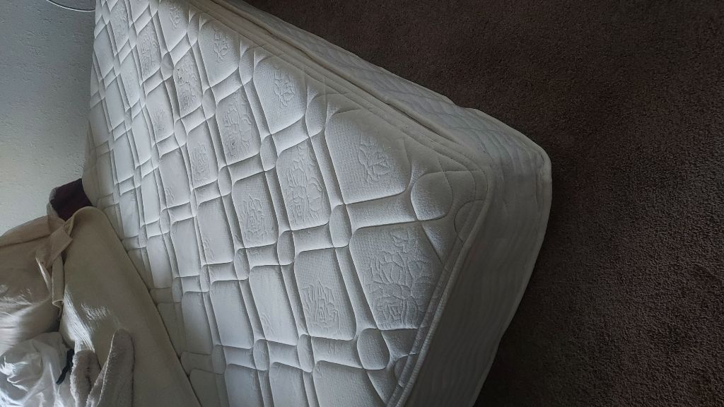 Free twin mattress